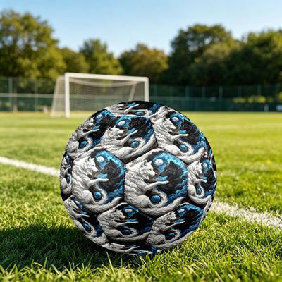 Futbol – Futbol topları