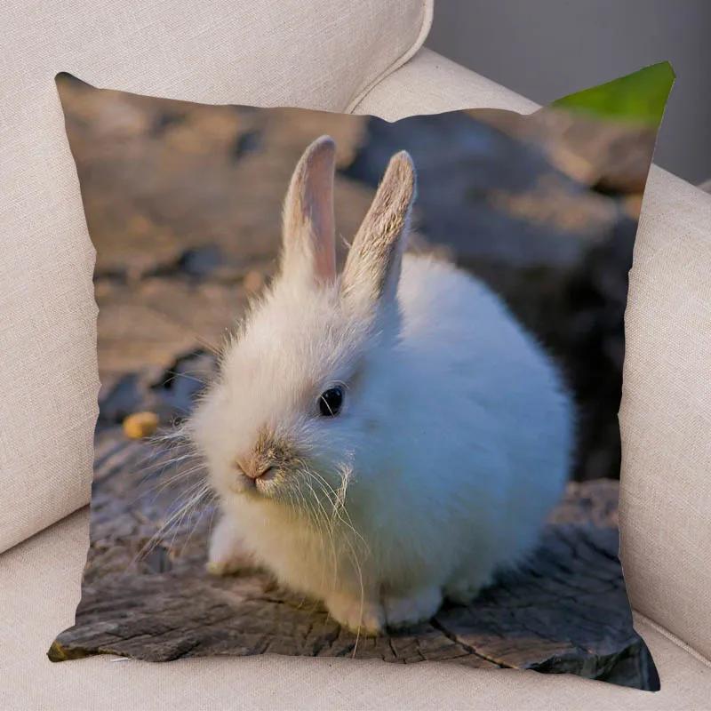 Cute Rabbit Bunny Cushion Cover Pillowcase Pillow Covers for Sofa Car Home Decor Pet Animal Pillow Cover Cotton Plush 45x45 cm