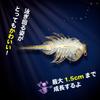 Aqua Dragons Aqua Dragon Breeding Kit Japanese Version Artemia Breeding Observation Genuine Product 4001-J