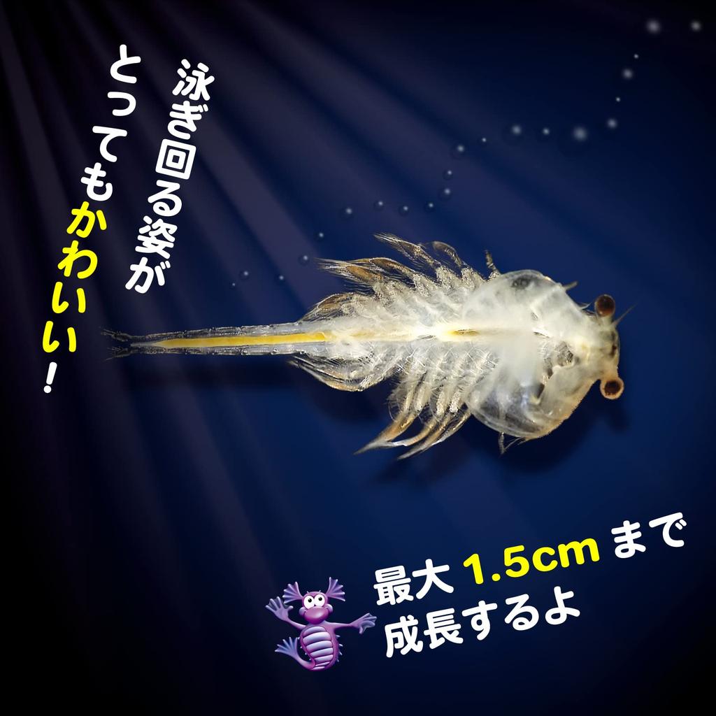 Aqua Dragons Aqua Dragon Breeding Kit Japanese Version Artemia Breeding Observation Genuine Product 4001-J