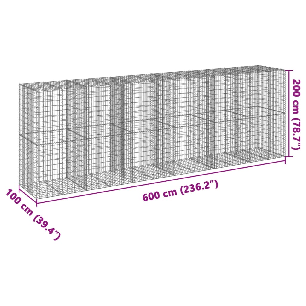 Gabion with Lid 600 X 100 X 200 Cm Galvanized Iron