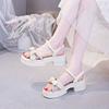 Casual fairy platform sandals female summer fashion with skirt explosion thin Roman beach shoes