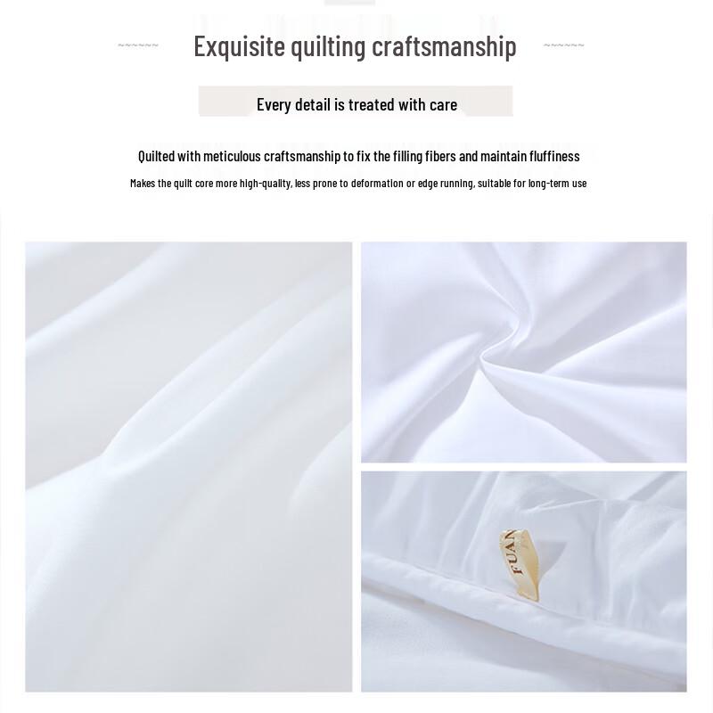 FUANNA Brushed Warm Winter Quilt