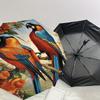 1PC Birds Flowers Umbrella-8-Rib Reinforced, Automatic Open, Lightweight & Durable, Fashion Accessory for Outdoor-D359