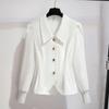 Women White Textured Lapel Long Sleeve Fitted Button Down Shirt