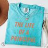 Principal T-Shirt, Life of a Principal Womens Tee, School Principal Gift, Principal Shirt, Principals Appreciation Week, Back To School