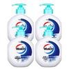 Walch Healthy Antibacterial Hand Soap