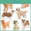 Brinquedo Cibotium Barometz de PVC para Crianças Welsh Corgi Cão Pastor Animais de Estimação Modelos de Animais Para Brincar e Decoração de Crianças