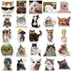 50 Hilarious Cat Expression Stickers for Phone Cases, Water Cups, and Skateboards - DIY Decoration