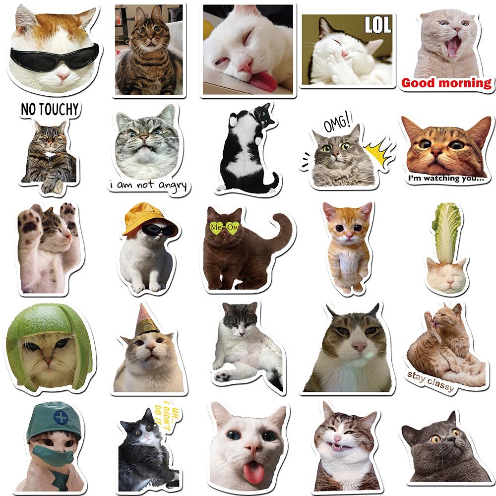50 Hilarious Cat Expression Stickers for Phone Cases, Water Cups, and Skateboards - DIY Decoration