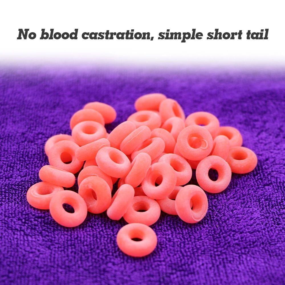 100Pcs Gummikastrationsring Bloodless Vieh Kastrationswerkzeug Schafe Schwanz Ring Schafe