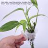 Hanging Design Aquarium Plant Holder Adjustable Holder Hanging Plant Pot  Fish Tank