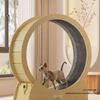Silent Cat Treadmill: Solid Wood Exercise Wheel and Climbing Frame