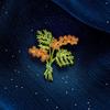 Broches en lichaamssieraden