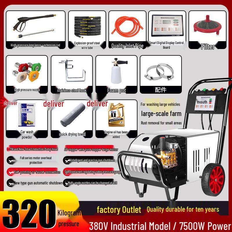 

Black Cat Duke Industrial High-Pressure Washer CN plug (adapter included)