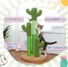 PAWZ Road Cat Claw Sharpening Pole Cactus Vertical Type Cute Claw Sharpener Cat Toy Cat Tower Mini For Multiple Cats Cage Lack of Exercise Stable Long