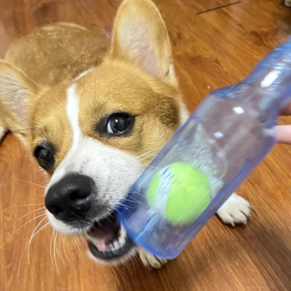 Pet Chew Toy TPR Bite-resistance Beer Bottle with Tennis Ball Toy Puppy Teeth Grinding Dog Chewing Squeaky Interactive Toys