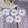 5Pc Sun Flower Daisy Sew On/Iron On Embroidered Patch Diy Craft Clothes Applique