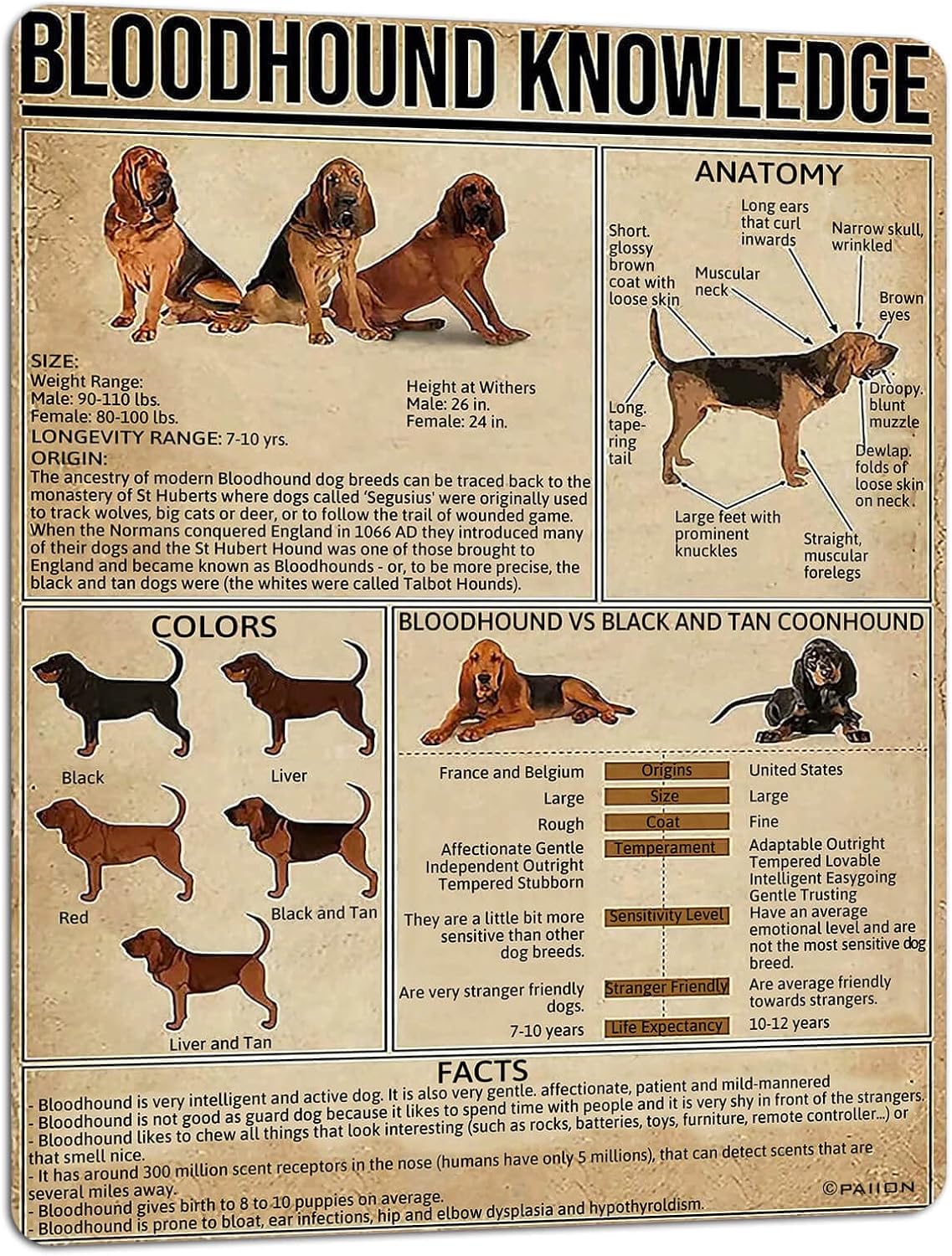 

PAIION Dog Knowledge Metal Tin Sign Bloodhound Anatomy Chart Poster Retro Pet Shop Farm School Club Home Wall Decoration alu 20x30cm（7.8x11.8inch）