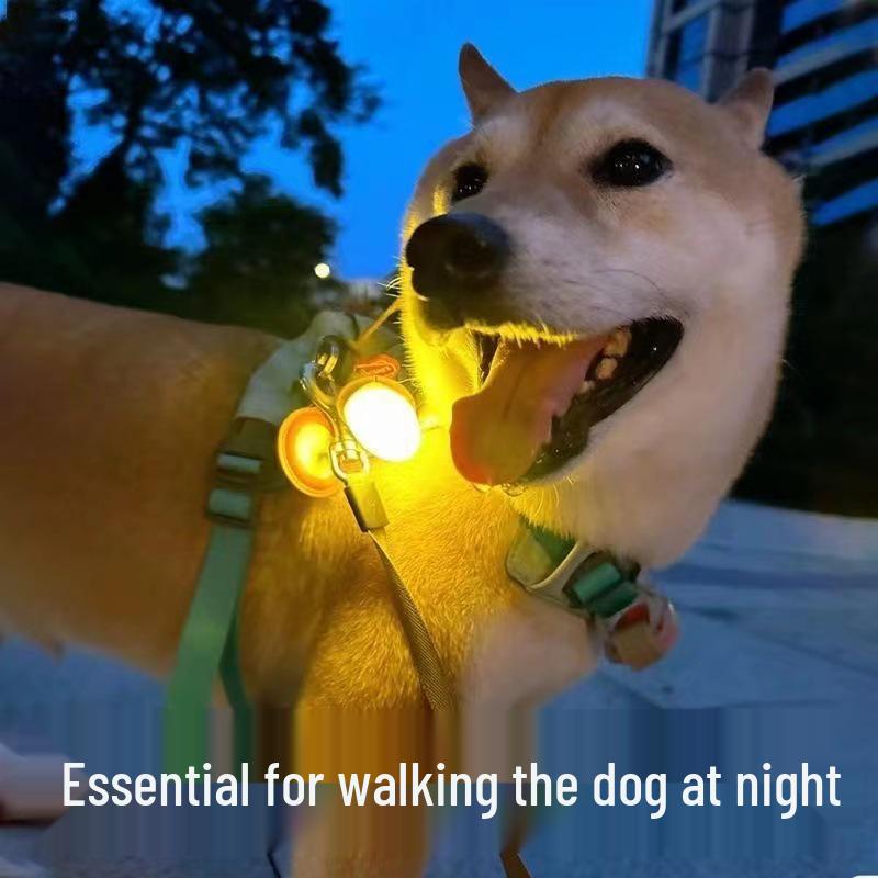 Glow-in-the-Dark Flashing Pet Tag and Leash Charm