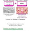 APLB - Exosome Vitamin C EX Serum Set