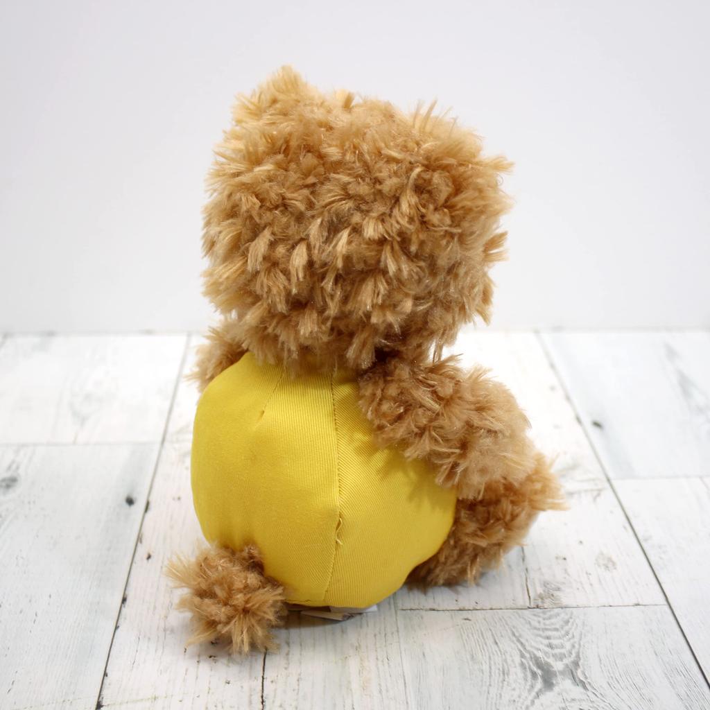 Takeoff Plush Toy BEAR'S365 November Brown