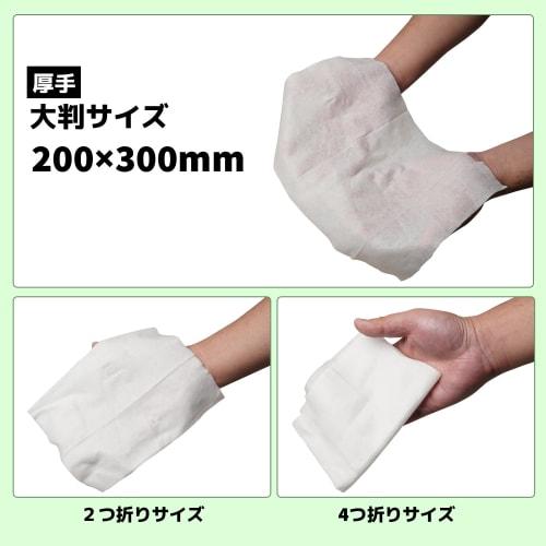 Wet Wipes for Adults, 90 Sheets, Thick, Large Size, Non-Flushable, WS5115