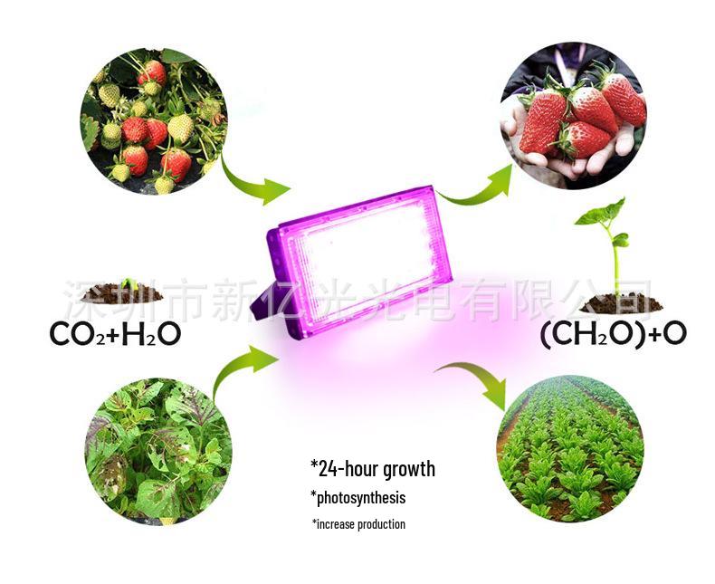 500W Full Spectrum LED Grow Light for Seedlings and Plants