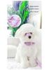 Vest-Style Harness and Leash for Small Dogs and Cats - Ideal for Pomeranians, Bichons, and Teddy Breeds