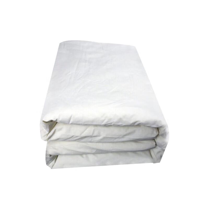 Portable Moisture-Proof Training Mattress Pad
