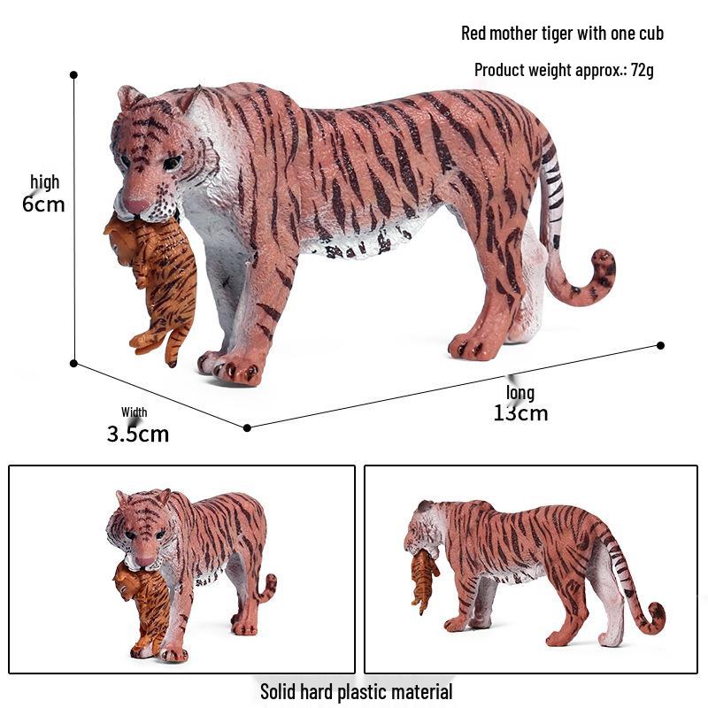 Siberian, Male, African, and White Tiger Cognitive Toy Set for Kids.