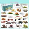 Detailed Pvc Animal Growth Cycle Display Box Set With Mosquito Spider Ladybug Frog Worm Snail In Pink And Blue