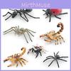 Realistic Insect Spider Scorpion Ant Animal Models For Kids Educational Play Pvc Decor Educational Gift
