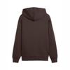 Puma Men's Casual Hooded Pullover