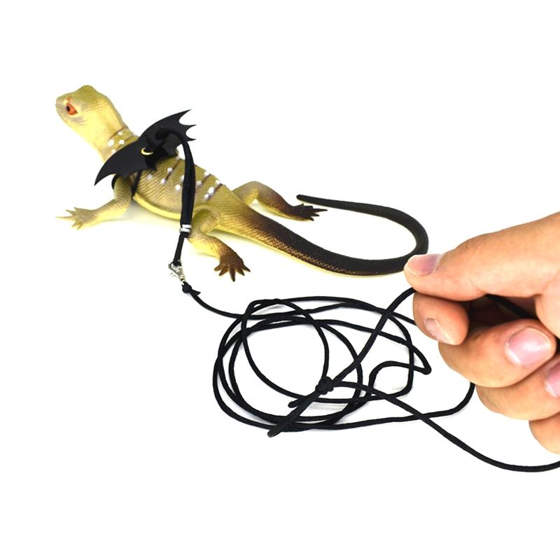 Bartagamen Geschirr und Leine Verstellbares Echsen Leinen Set mit Flügeln für Kleine Reptilien Junior Eichhörnchen Hamster