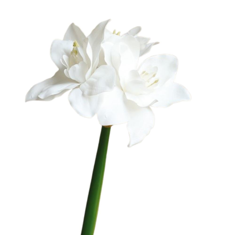 

63cm Artificial Clivia Flowers Branches Lifelike Simulated Green Plants Wedding Decor