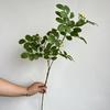Locust Leaves Artificial Foliage Tree Leaf Greenery Stems for Indoor Outdoor  Wedding Home Event Floral Arrangements