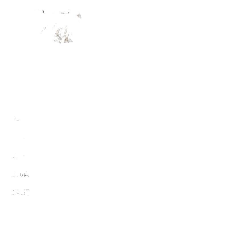 Zestaw Sukienka i Kurtka w Chińskim Stylu z Postrzępionymi Krawędziami dla Dziewczynek - Zima 2024