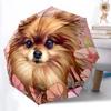 1pc Pomeranian, Floral Automatic Open/Close Umbrella - Compact Travel Umbrella, Gift for Birthdayyy251208139