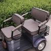Ronaldo Flower Crown Feiyue Electric Tricycle Thickened All-Season Seat Cover