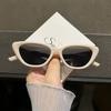 Fashion Hip-hop Small Cat Eye Sunglasses Fashion Women Eyeglasses with Retro Style Shades Glasses