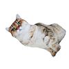 Creative Simulation Cat Pillow 3D Cat Cushion Animal Doll Photography Wedding Decor Sitting Lying Down Pose