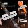 Dual-use Stainless Steel Sugarcane and Fruit Peeler