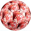 Harry Kane Theme Soccer Ball Size 5 Soccer Ball Soft Touch Professional Training Football for Outdoor Sports