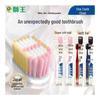 Lion Sisi-Clean 61-Hole Wide Head Soft Toothbrush 2-Pack