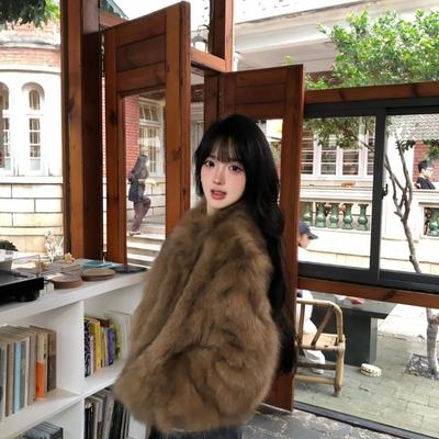 Brown Eco-friendly Fox Fur Women's Short Style Winter New Hot Style Thickened Temperament Fur