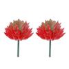 2pcs Colorful Fake Plant Plastics Artificial Flower Artistic Echeveria Chihuahuaensis  Home Decor