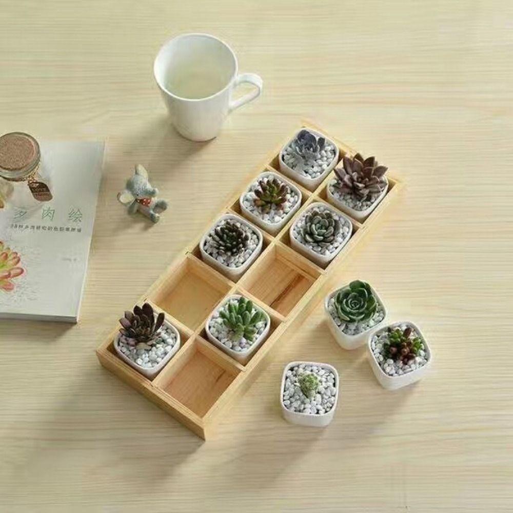 

Wood Storage Box Multi-grids Bonsai Holder High Quality Desktop Sundries Organizer 7*7cm-3grids