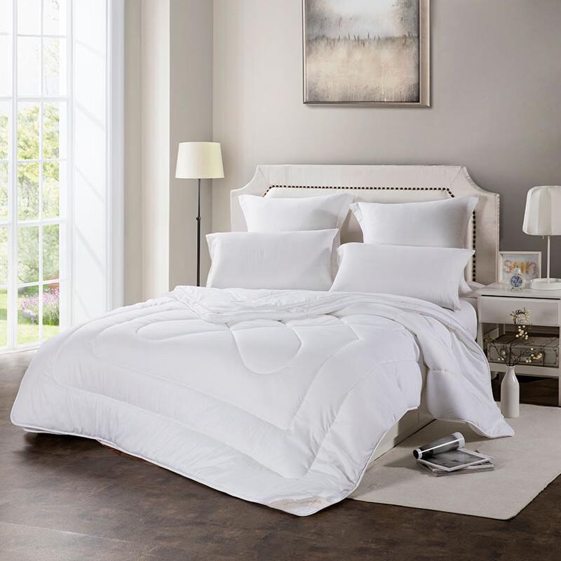 Luolai All-Season Ultra-Soft Tussah Silk Blend Duo Quilt