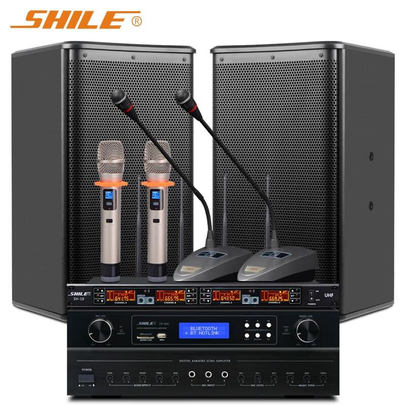 SHILE Professional 10-inch Conference & KTV Audio System with Wireless Microphones